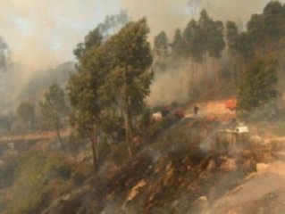 FUEGO CAMPO 05  RECICLAJE